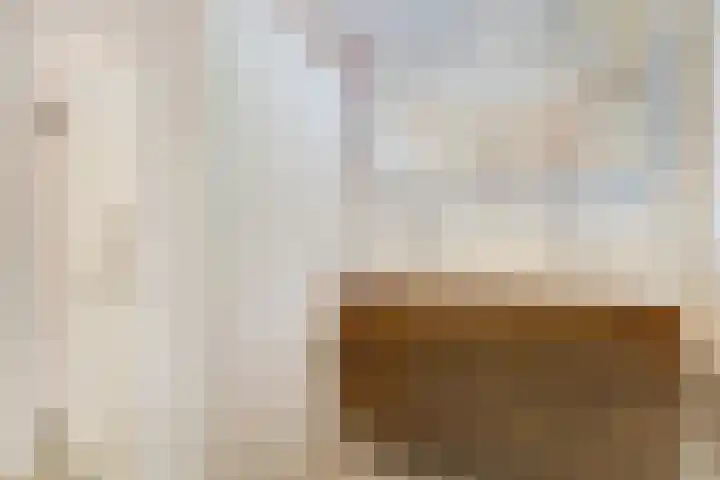 Salland 11 Emmeloord thumbnail 28