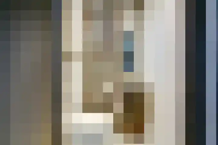 Salland 11 Emmeloord thumbnail 29