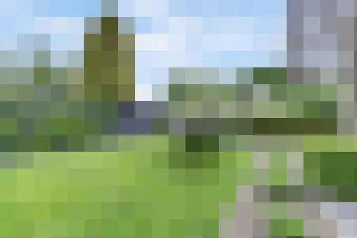 Salland 11 Emmeloord thumbnail 32
