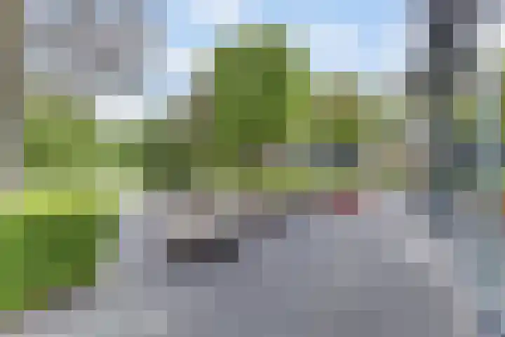 Salland 11 Emmeloord thumbnail 33