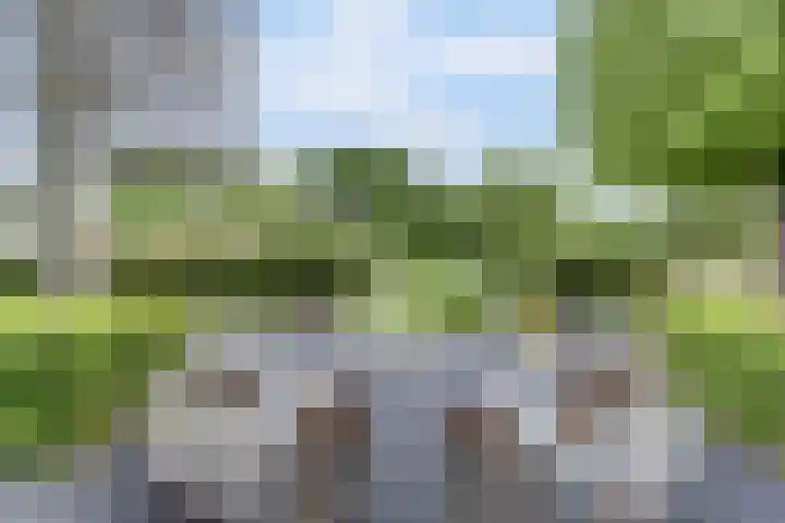 Salland 11 Emmeloord thumbnail 34