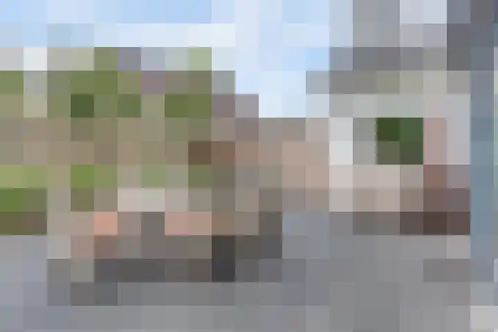Salland 11 Emmeloord thumbnail 35