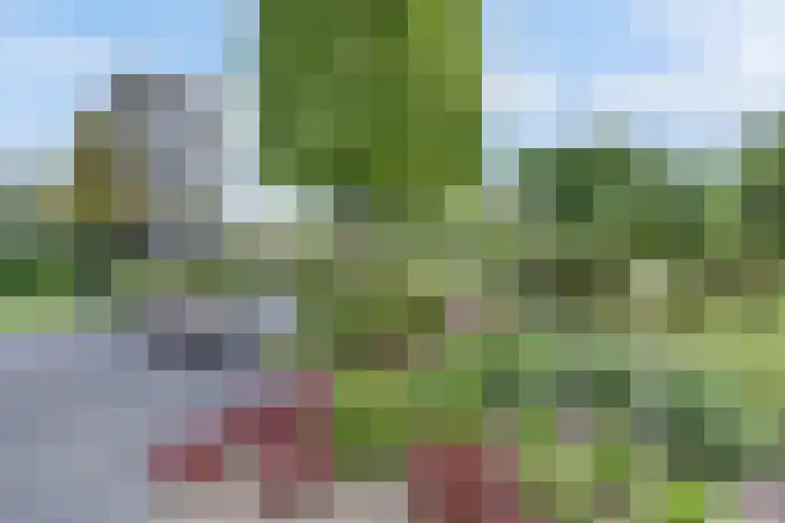 Salland 11 Emmeloord thumbnail 36