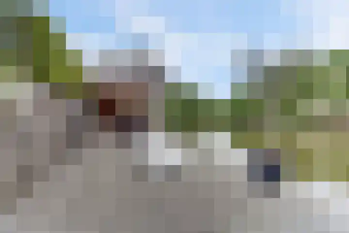 Salland 11 Emmeloord thumbnail 37