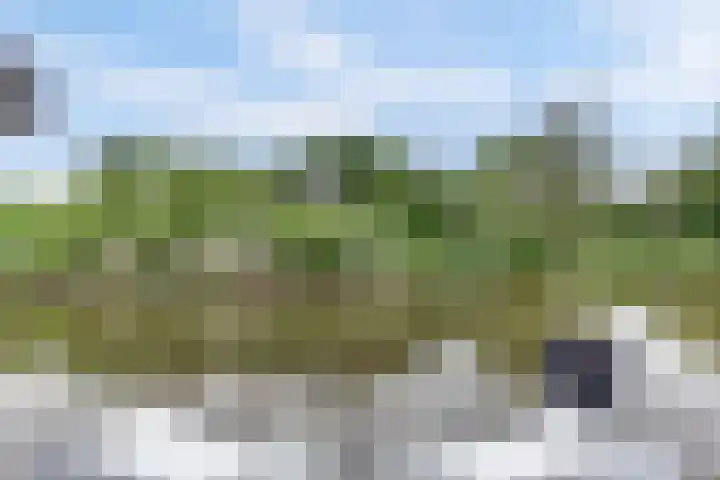 Salland 11 Emmeloord thumbnail 39