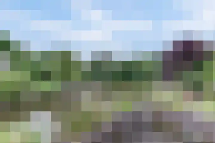 Salland 11 Emmeloord thumbnail 41