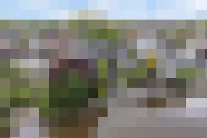 Salland 11 Emmeloord thumbnail 42