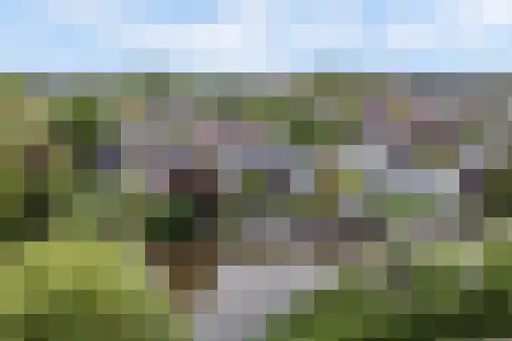 Salland 11 Emmeloord thumbnail 43