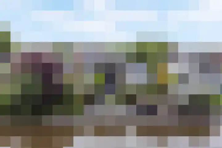 Salland 11 Emmeloord thumbnail 44
