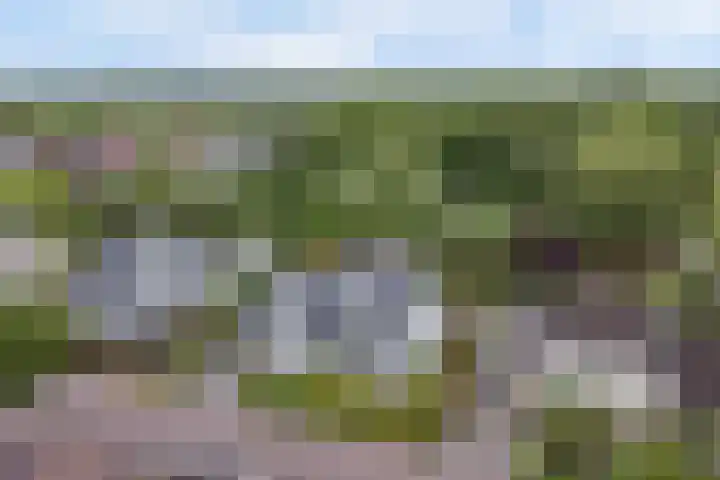 Salland 11 Emmeloord thumbnail 45