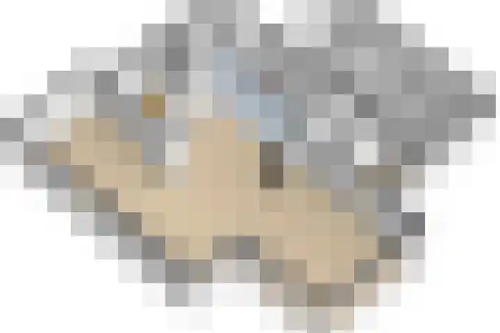 Salland 11 Emmeloord thumbnail 48