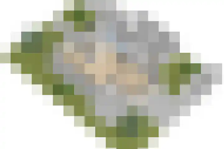 Salland 11 Emmeloord thumbnail 56