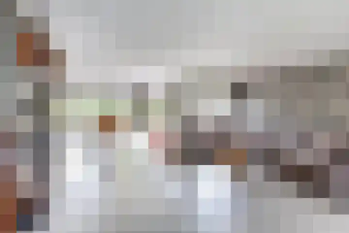Salland 11 Emmeloord thumbnail 7