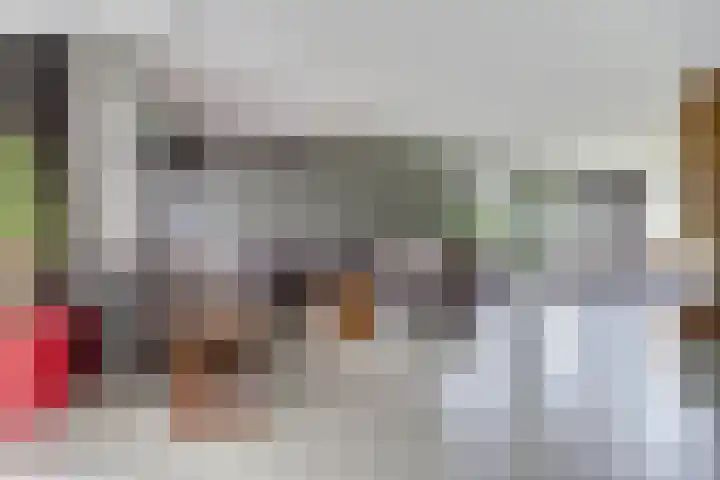 Salland 11 Emmeloord thumbnail 8