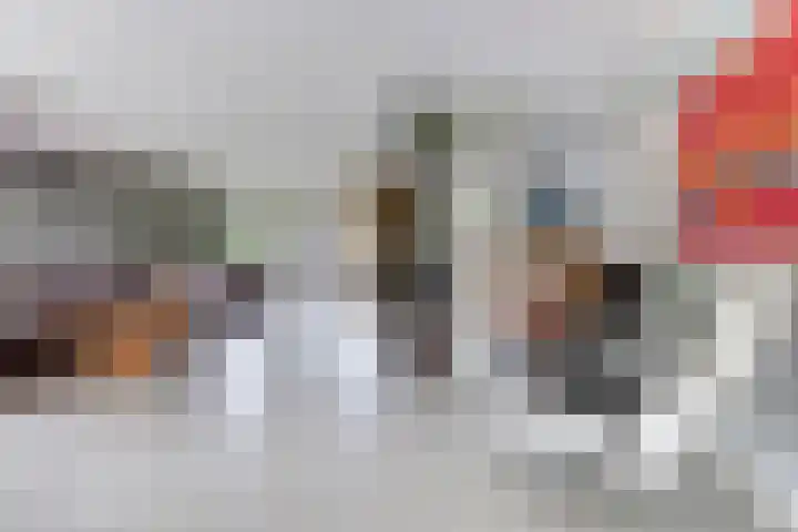Salland 11 Emmeloord thumbnail 9