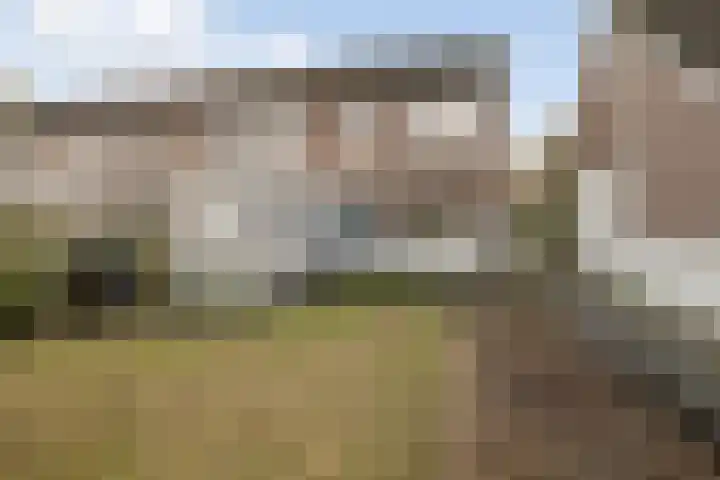 Salland 124 Assen thumbnail 13
