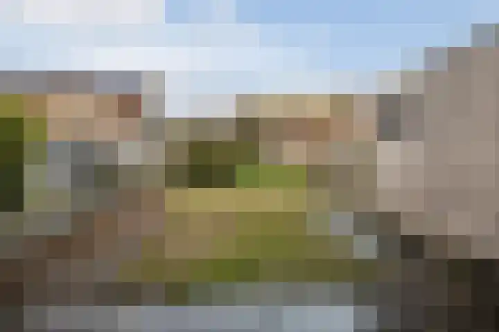 Salland 124 Assen thumbnail 14