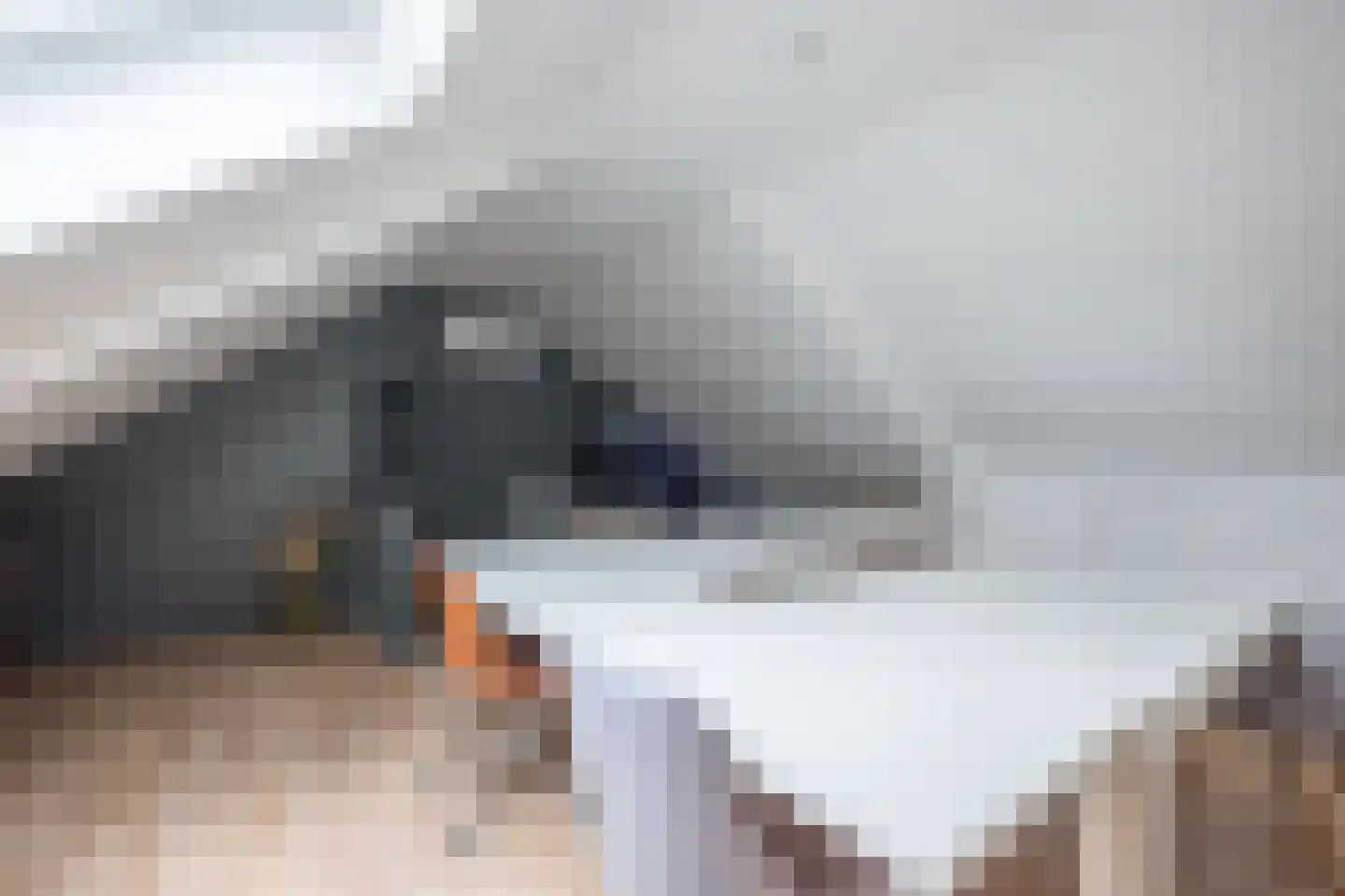 Salland 147 Assen thumbnail 23