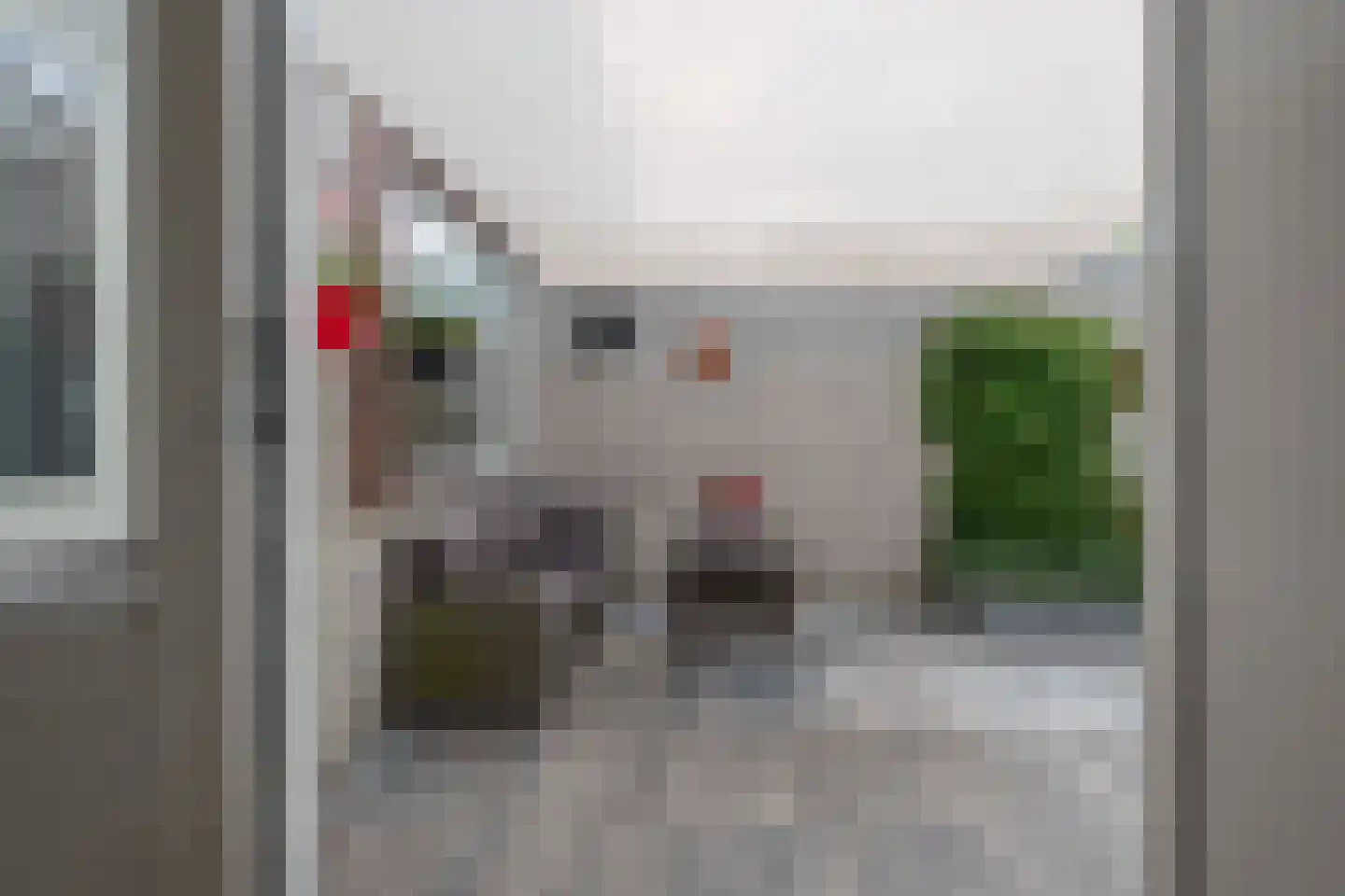 Salland 147 Assen thumbnail 24