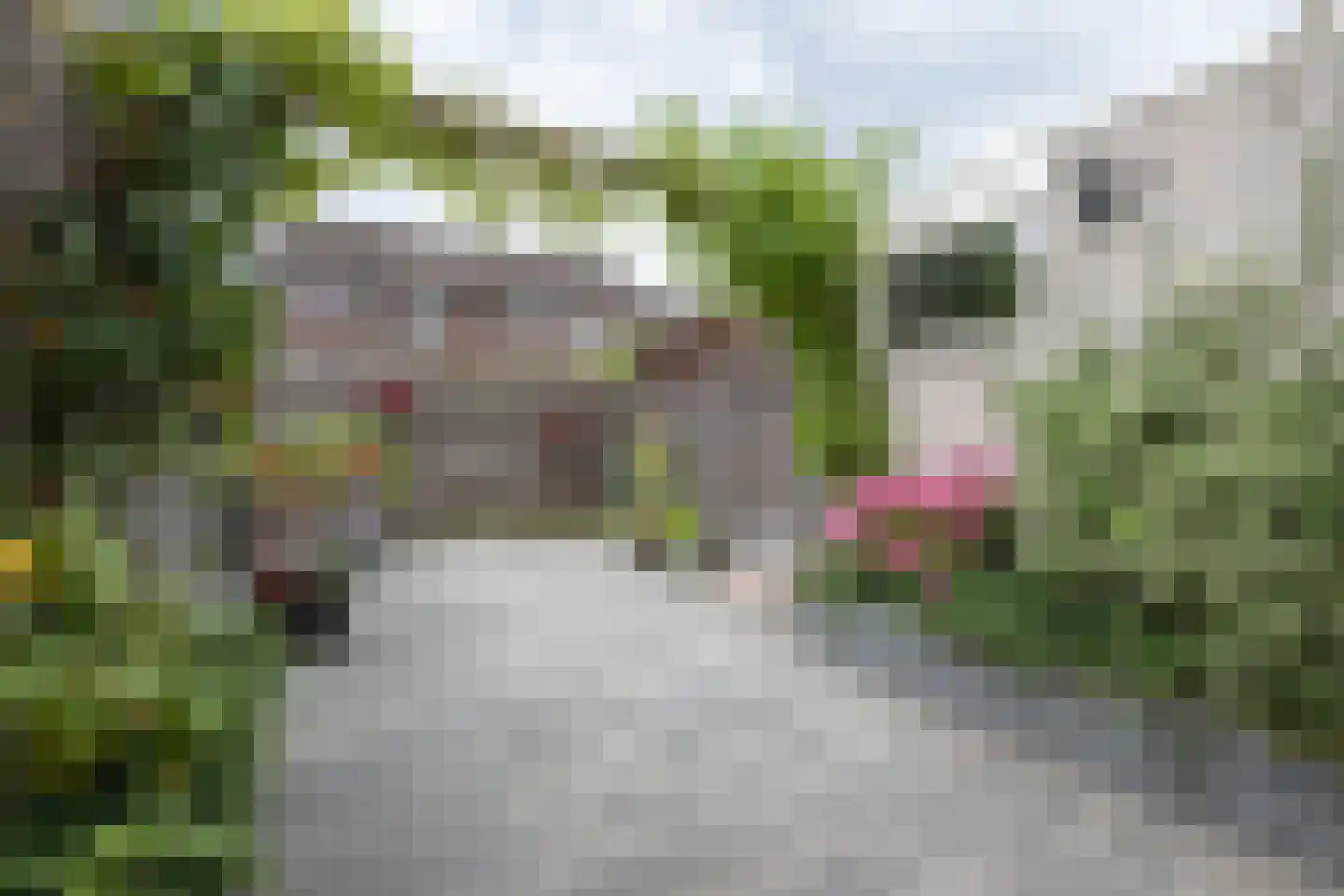 Salland 147 Assen thumbnail 26