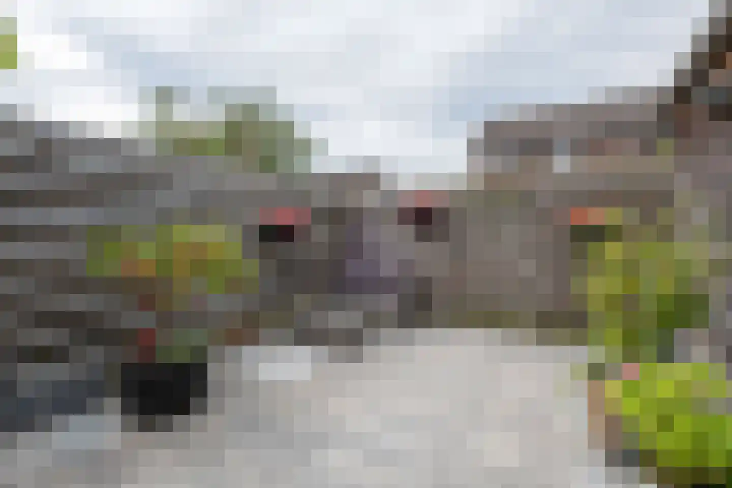 Salland 147 Assen thumbnail 27