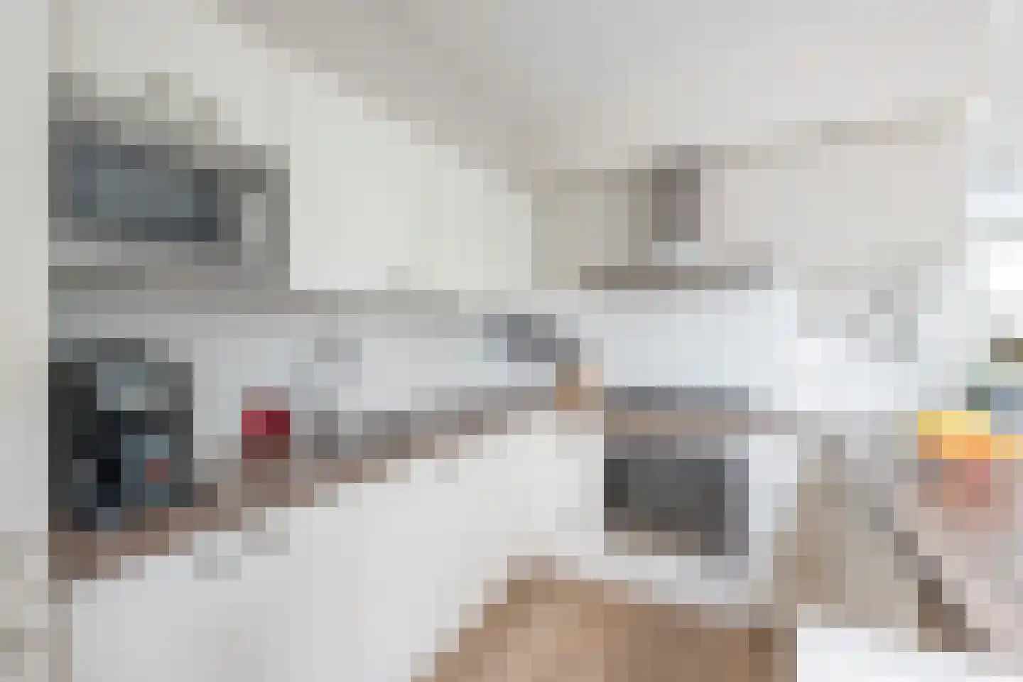 Salland 147 Assen thumbnail 8