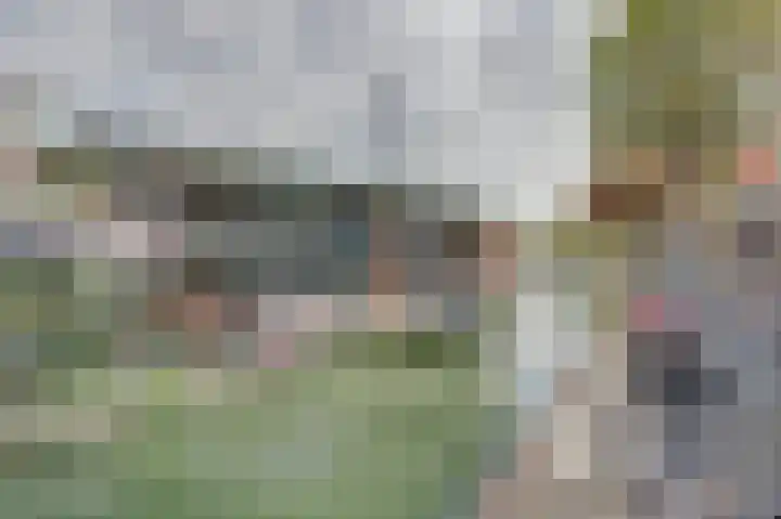 Salland 22 Utrecht thumbnail 23