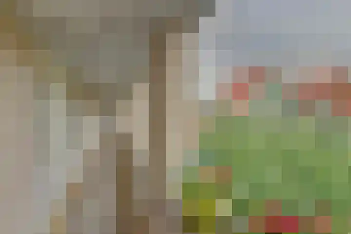 Salland 22 Utrecht thumbnail 8