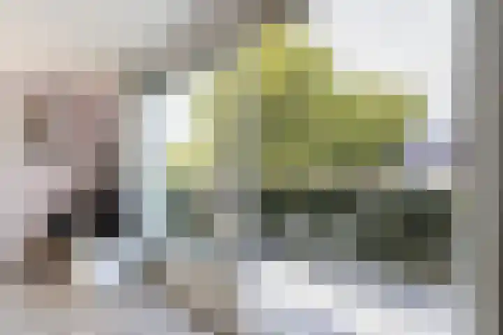Salland 24 Utrecht thumbnail 11