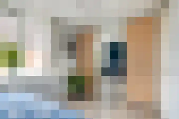 Salland 24 Utrecht thumbnail 15