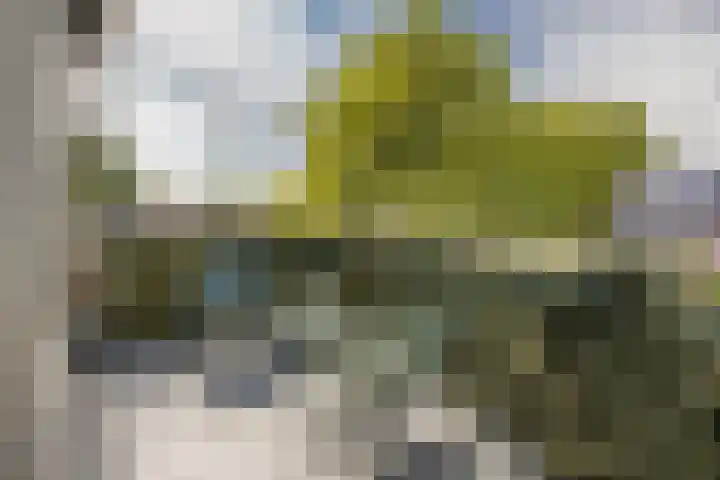 Salland 24 Utrecht thumbnail 4