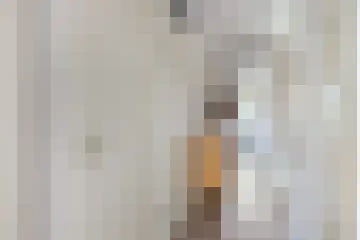Salland 24 Utrecht thumbnail 6