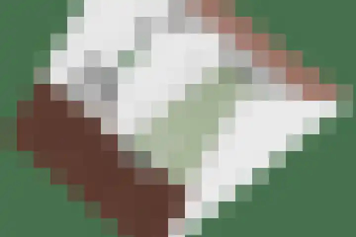 Salland 26 Purmerend thumbnail 34