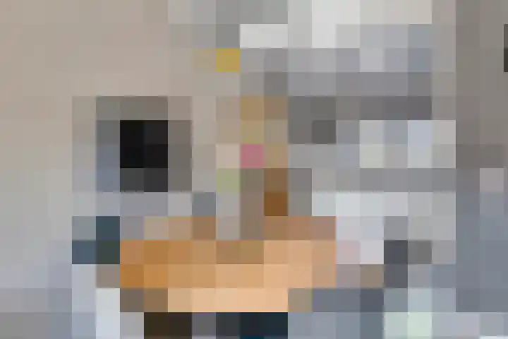 Salland 26 Purmerend thumbnail 9