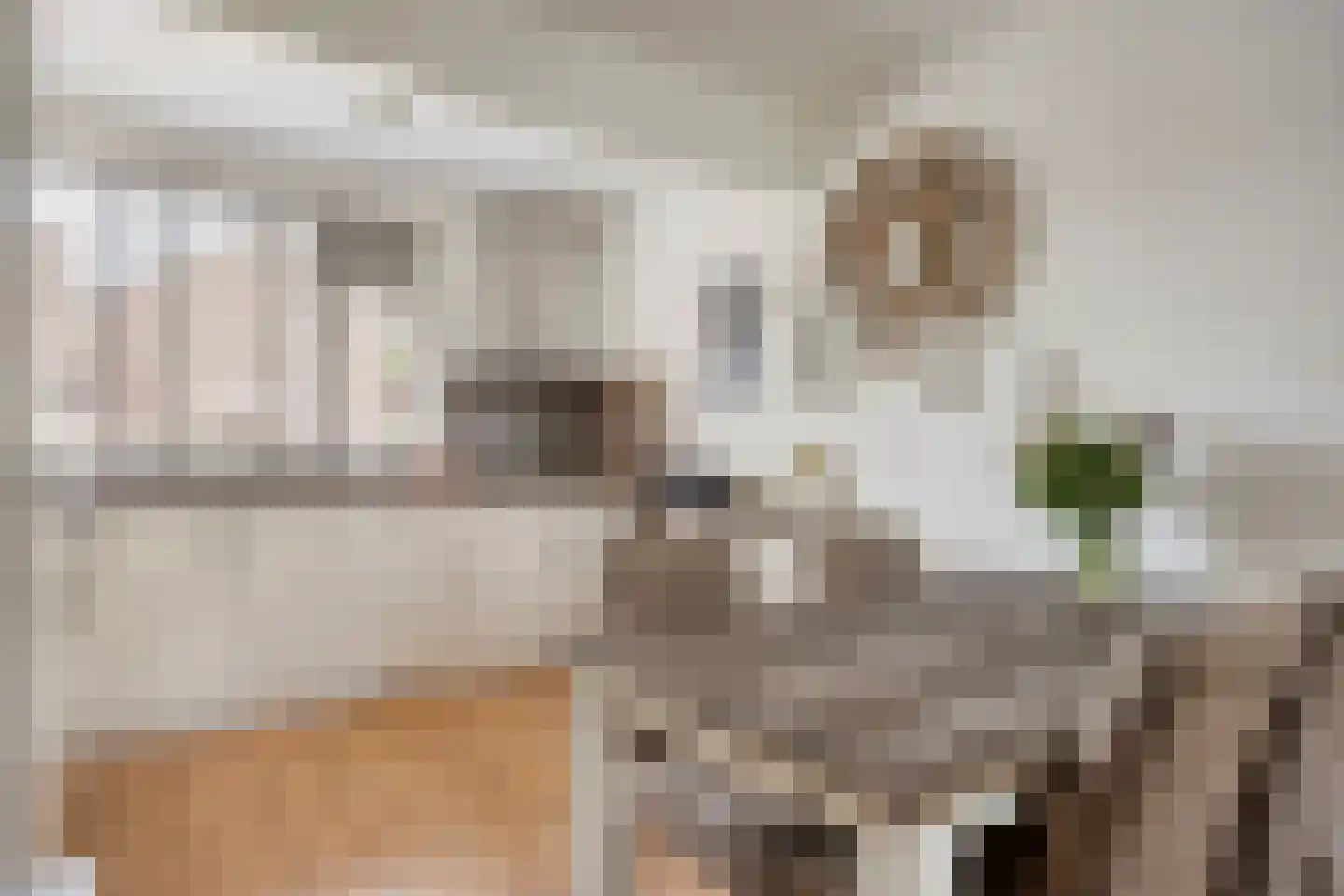 Salland 26 's-Hertogenbosch thumbnail 14