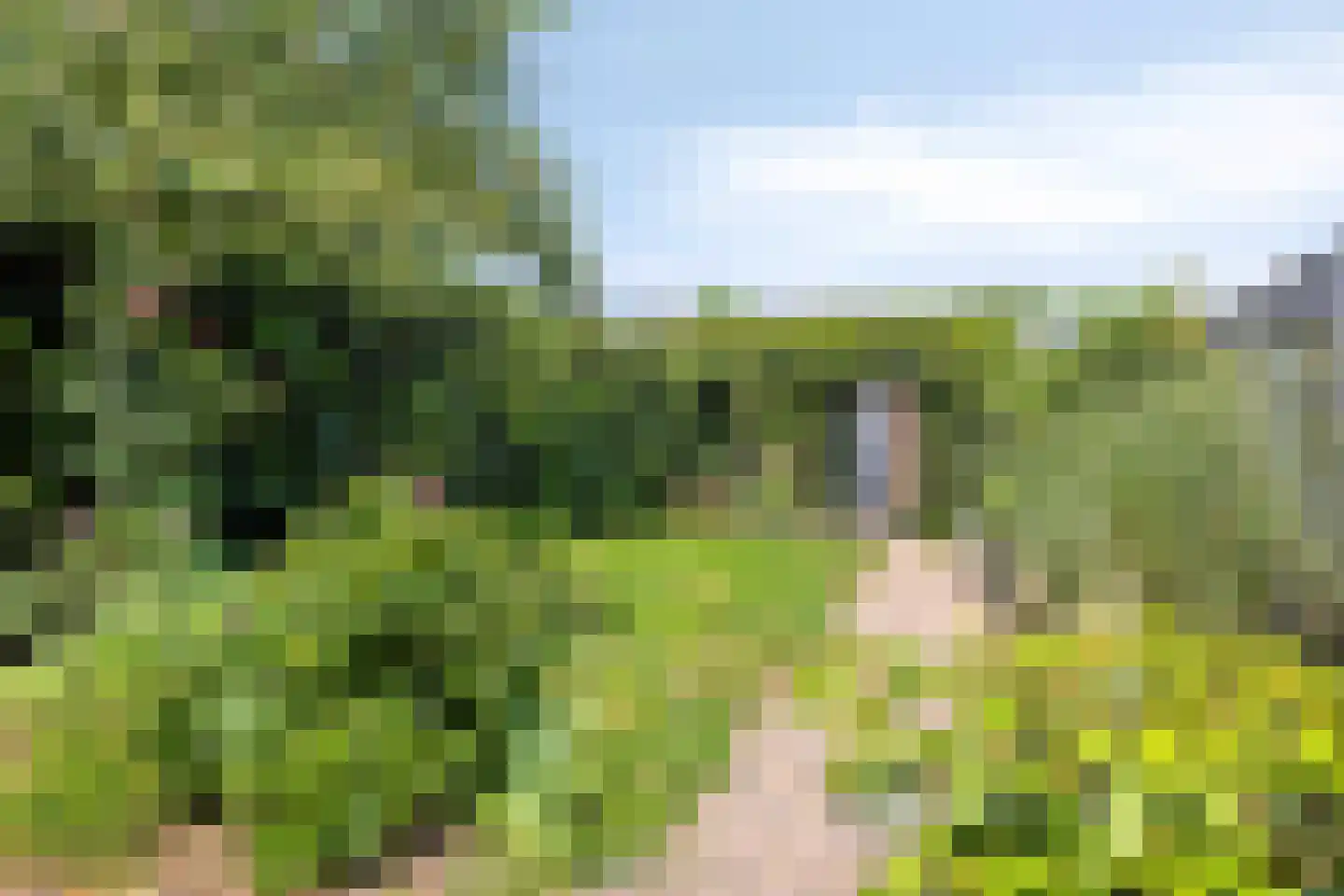 Salland 26 's-Hertogenbosch foto 3