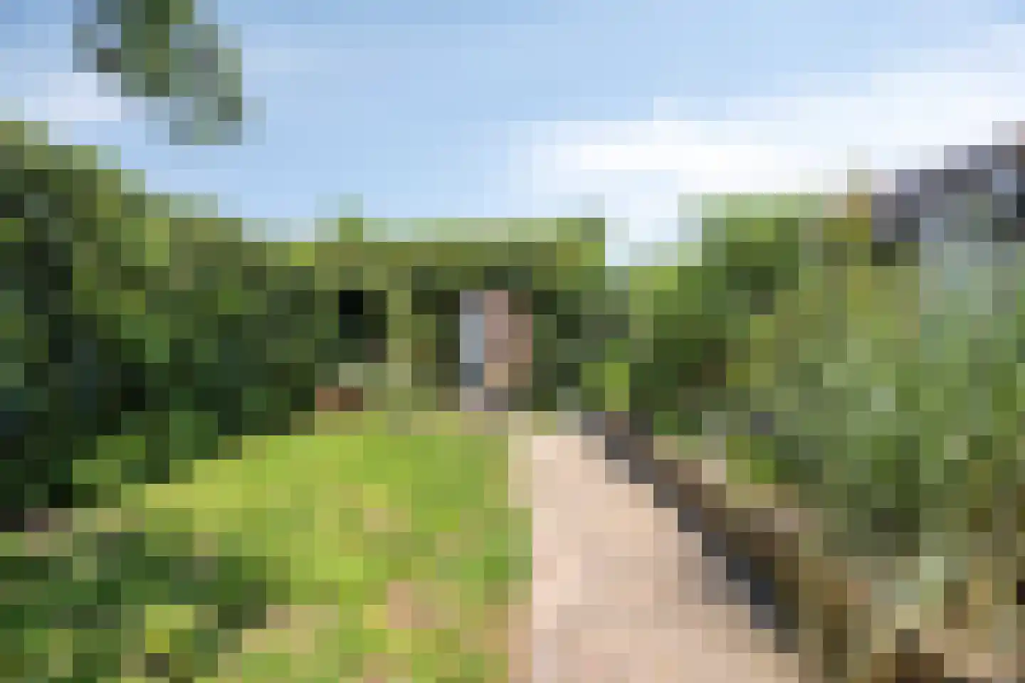 Salland 26 's-Hertogenbosch thumbnail 42