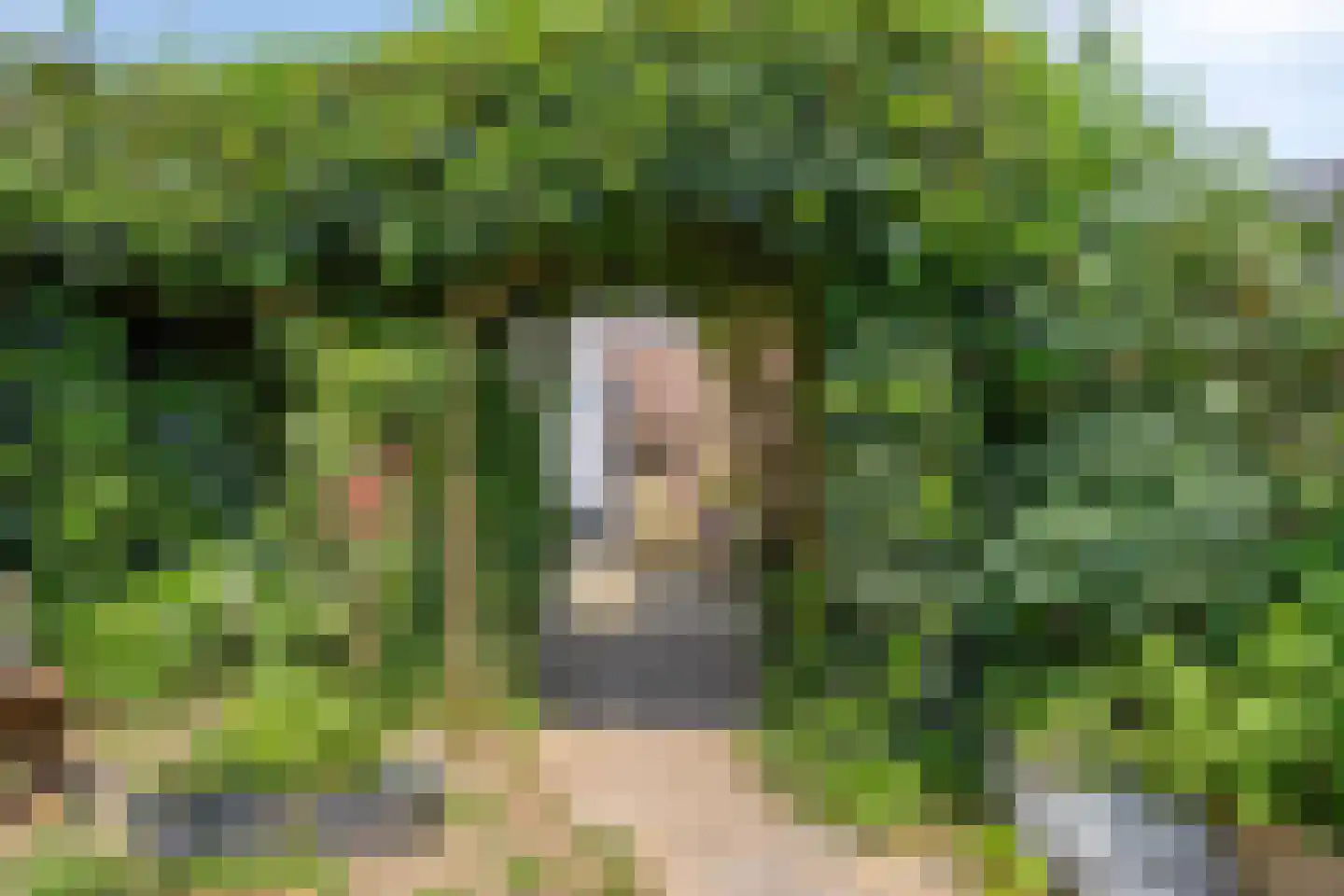Salland 26 's-Hertogenbosch thumbnail 44