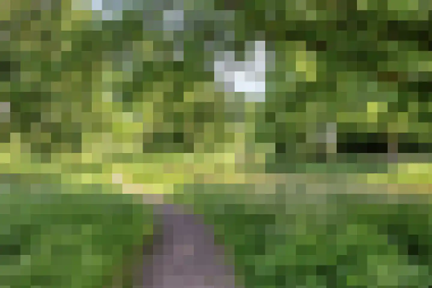 Salland 26 's-Hertogenbosch thumbnail 50
