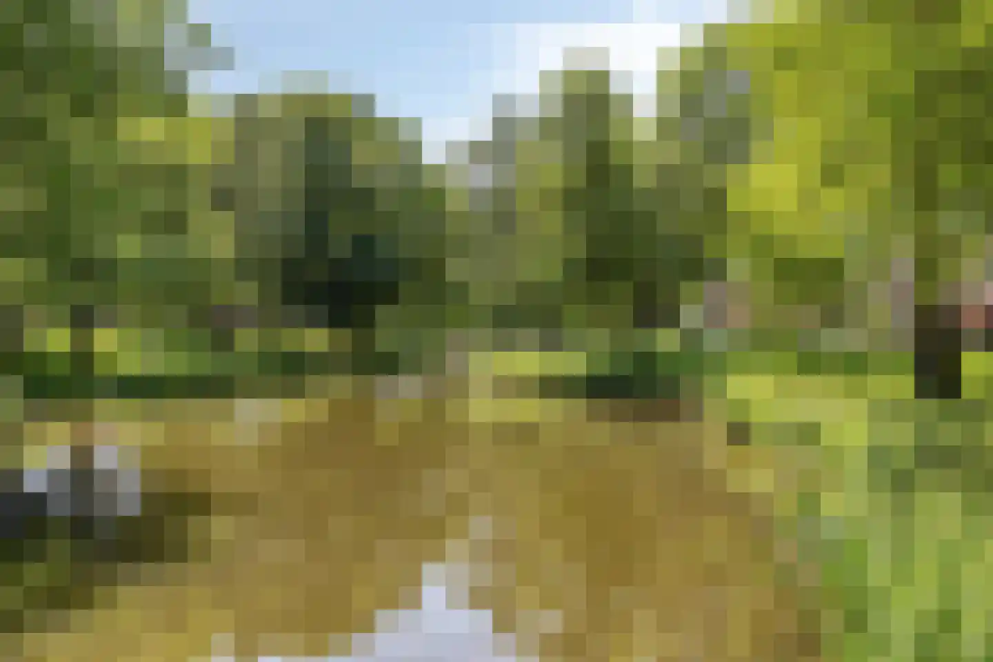 Salland 26 's-Hertogenbosch thumbnail 51