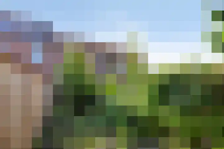 Salland 3 Purmerend thumbnail 11