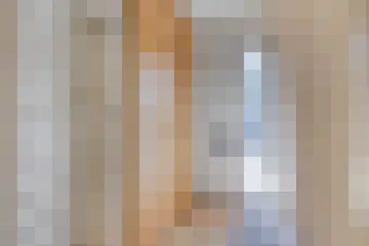 Salland 3 Purmerend thumbnail 12