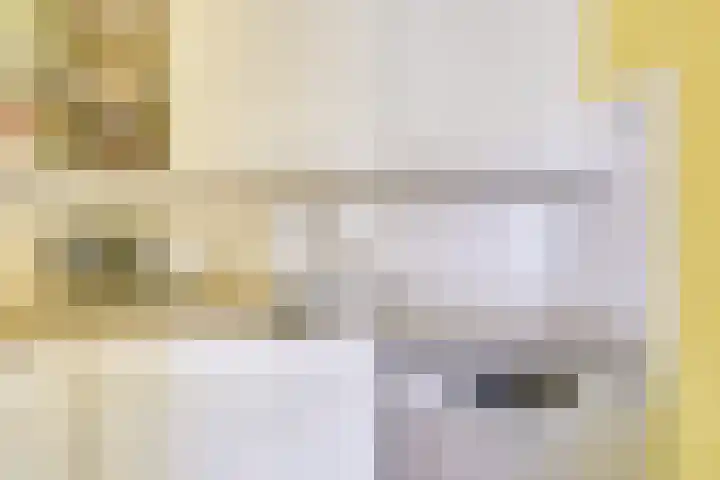 Salland 4 Utrecht thumbnail 10