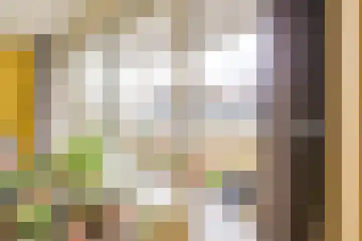 Salland 4 Utrecht thumbnail 12
