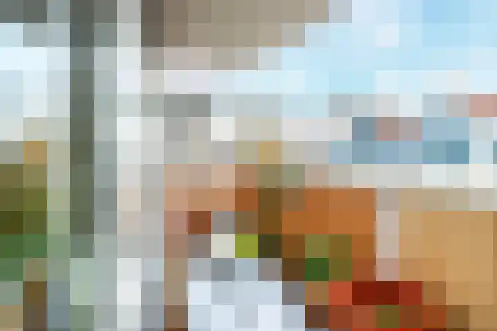 Salland 4 Utrecht thumbnail 13
