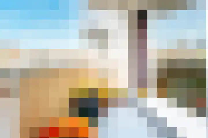 Salland 4 Utrecht thumbnail 14