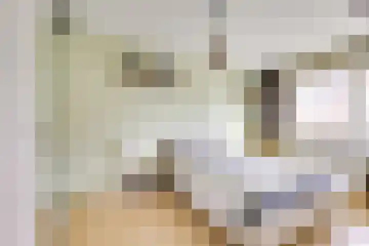 Salland 4 Utrecht thumbnail 17