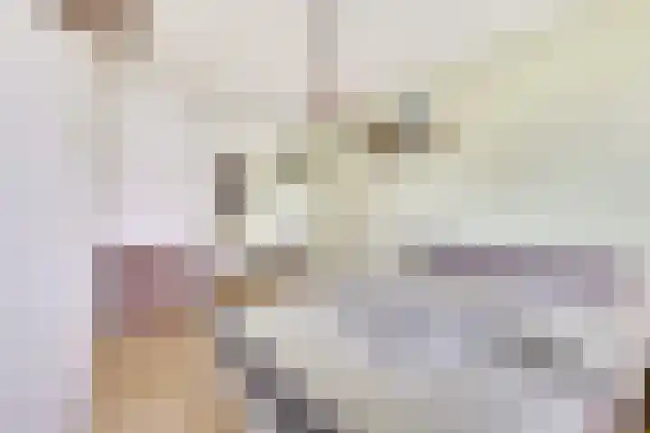 Salland 4 Utrecht thumbnail 18