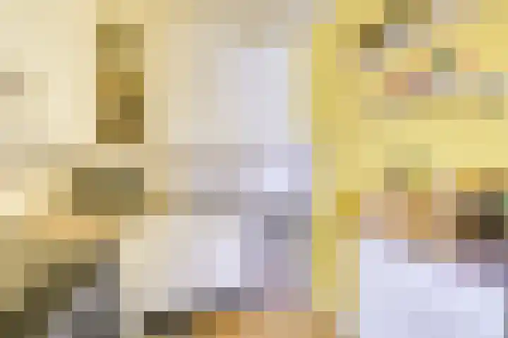 Salland 4 Utrecht thumbnail 9