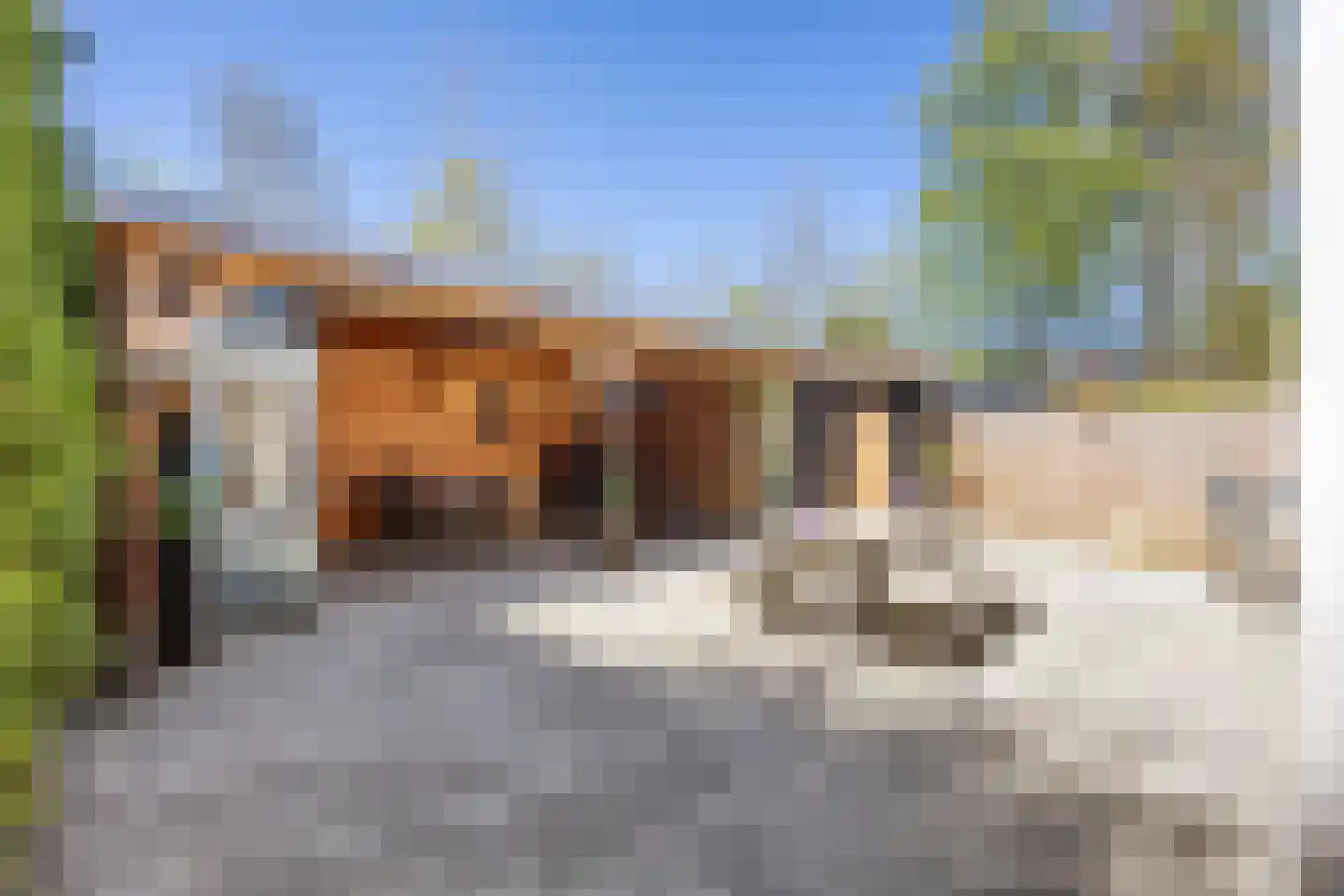 Salland 43 Assen thumbnail 48